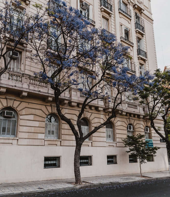 Hyatt to Grow its Luxury Portfolio in Argentina with Casa Duhau