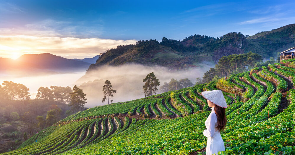 Courtyard by Marriott Debuts in Vietnam with a Landmark Hotel in Danang Courtyard by Marriott Debuts in Vietnam with a Landmark Hotel in Danang