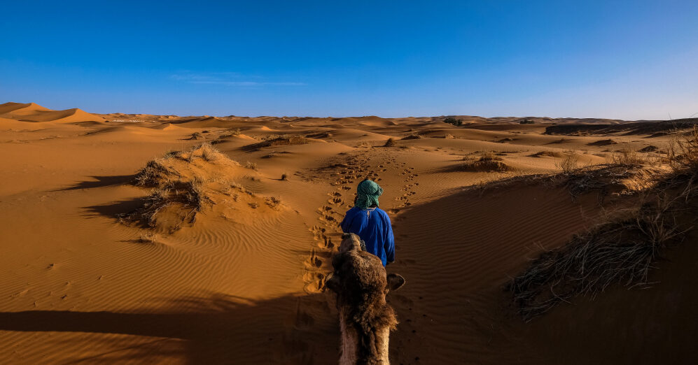 Aman Residences Launches Amansamar, a Sanctuary of Peace and Refined Guest Experience in Riyadh’s Desert Majesty Aman Residences Launches Amansamar, a Sanctuary of Peace and Refined Guest Experience in Riyadh’s Desert Majesty