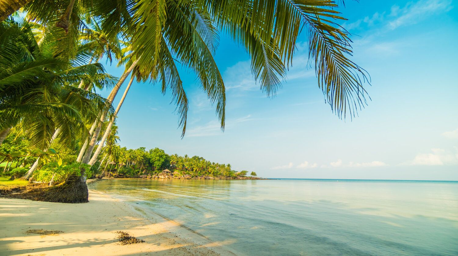 Hyatt Expands India Portfolio with Hyatt Centric Anjuna Goa Hyatt Expands India Portfolio with Hyatt Centric Anjuna Goa