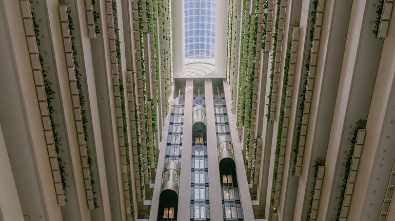 InterContinental Brisbane Officially Opens by Marking the Brand’s Arrival in the River City
