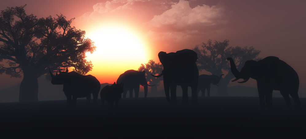 Lion Roars Hotels & Lodges Partners with Stayntouch to Power Seamless Luxury Across 11 South African Properties