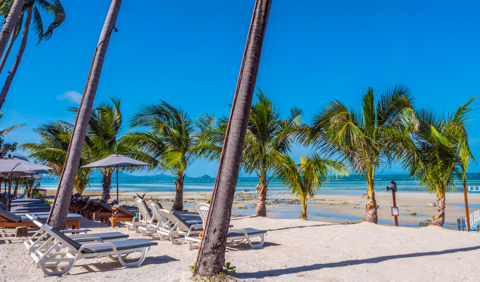 W Hotels Makes Bold Entry into All-Inclusive Luxury with the Launch of W Punta Cana