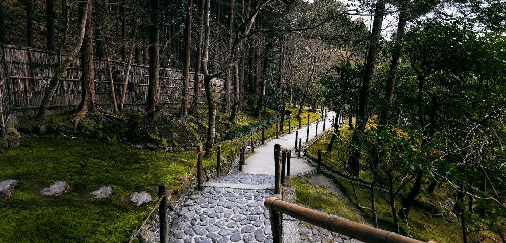 Aman Kyoto Unveils Summer Forest Hideaway: A Serene Retreat in Japan’s Ancient Capital