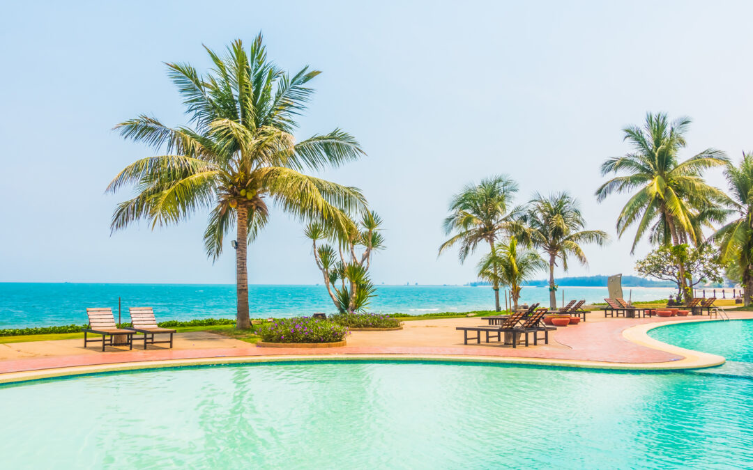 Modern luxury resort swimming pool surrounded by palm trees along a serene ocean beachfront